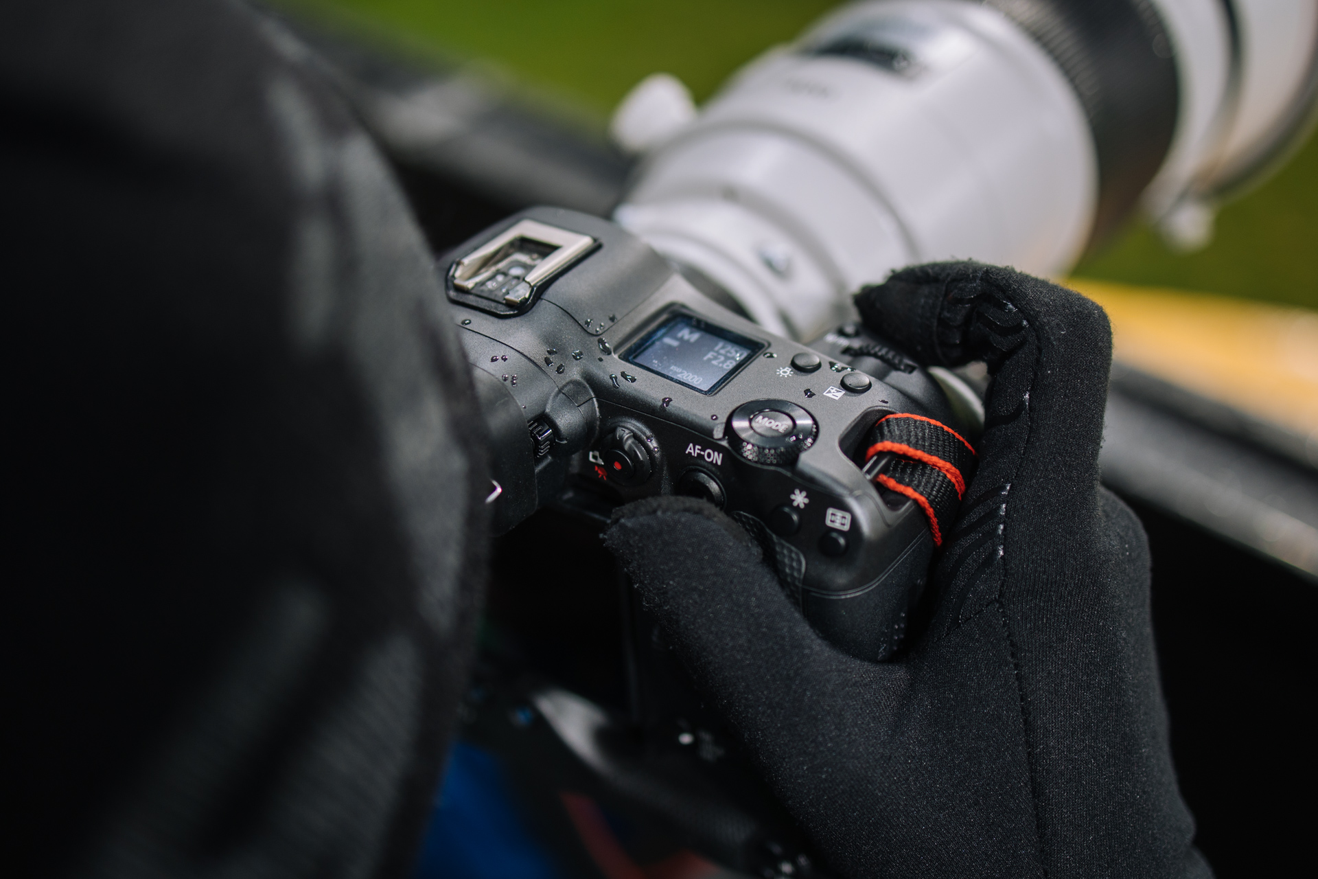 Canon EOS R3 świetnie leży w dłoniach. Fot. Krzysztof Basel.