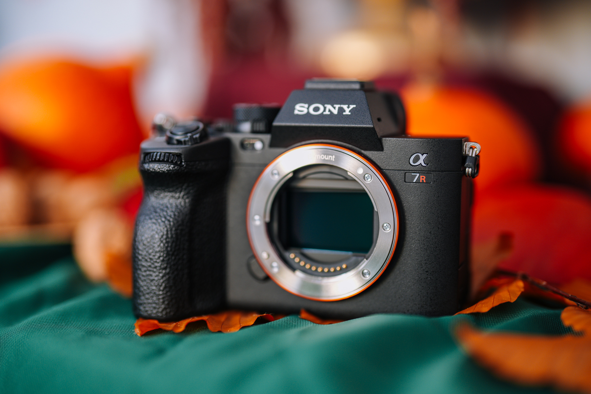 Sony A7R V - test. Zdjęcie obrobione, JPEG. Fot. Krzysztof Basel