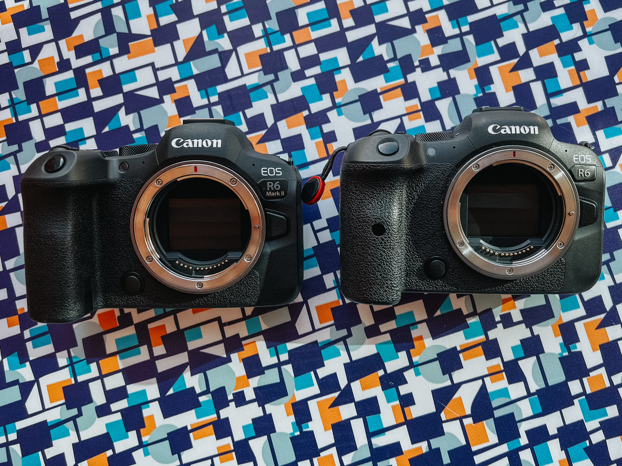 Canon EOS R6 i R6 Mark II. 